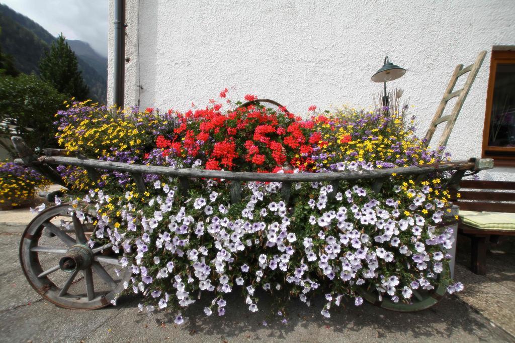 Pension Konigshof Mallnitz Extérieur photo